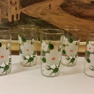 Hand Painted Drinking Glasses set of 5